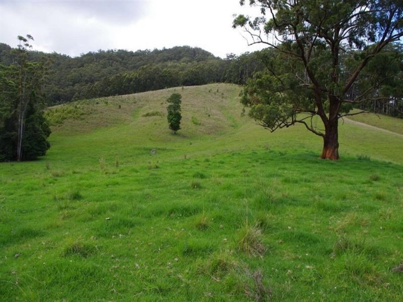 415 Fridays Creek Road, Upper Orara NSW 2450