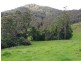 415 Fridays Creek Road, Upper Orara NSW 2450