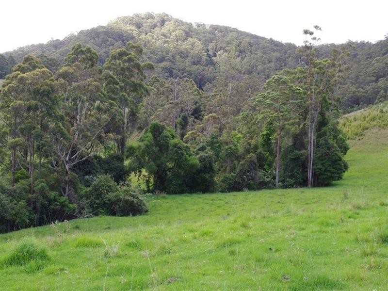 415 Fridays Creek Road, Upper Orara NSW 2450