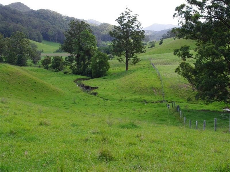 415 Fridays Creek Road, Upper Orara NSW 2450
