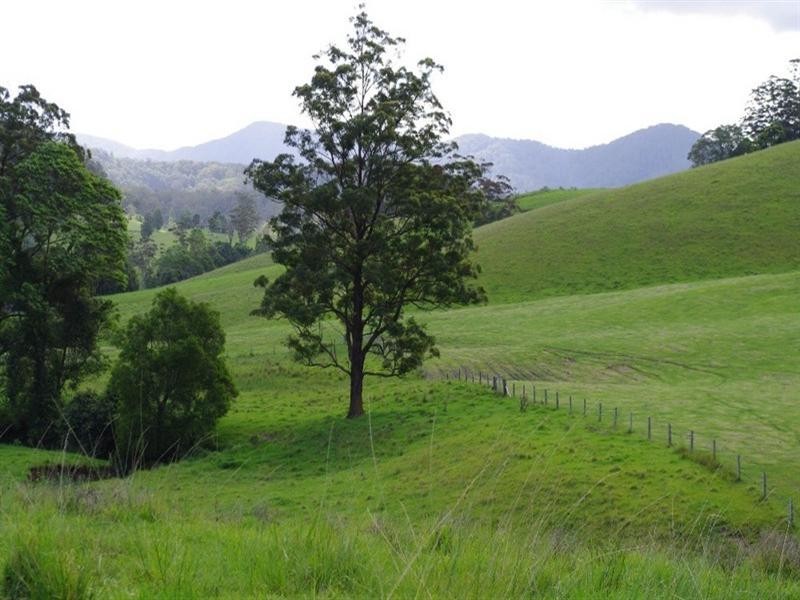 415 Fridays Creek Road, Upper Orara NSW 2450