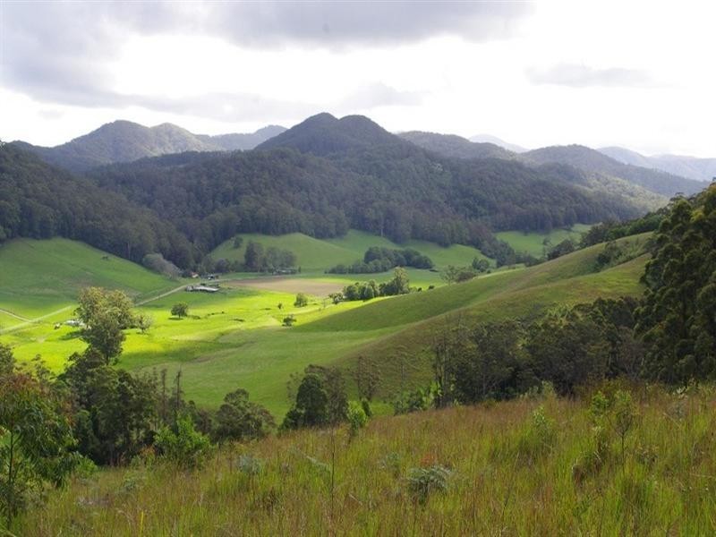 415 Fridays Creek Road, Upper Orara NSW 2450