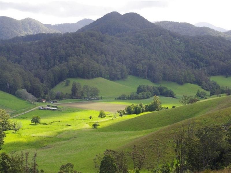 415 Fridays Creek Road, Upper Orara NSW 2450