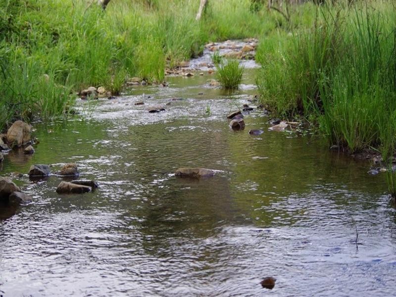 415 Fridays Creek Road, Upper Orara NSW 2450