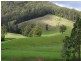 415 Fridays Creek Road, Upper Orara NSW 2450