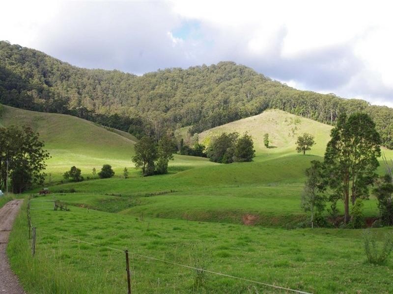 415 Fridays Creek Road, Upper Orara NSW 2450