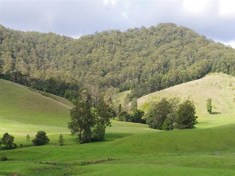 415 Fridays Creek Road, Upper Orara NSW 2450