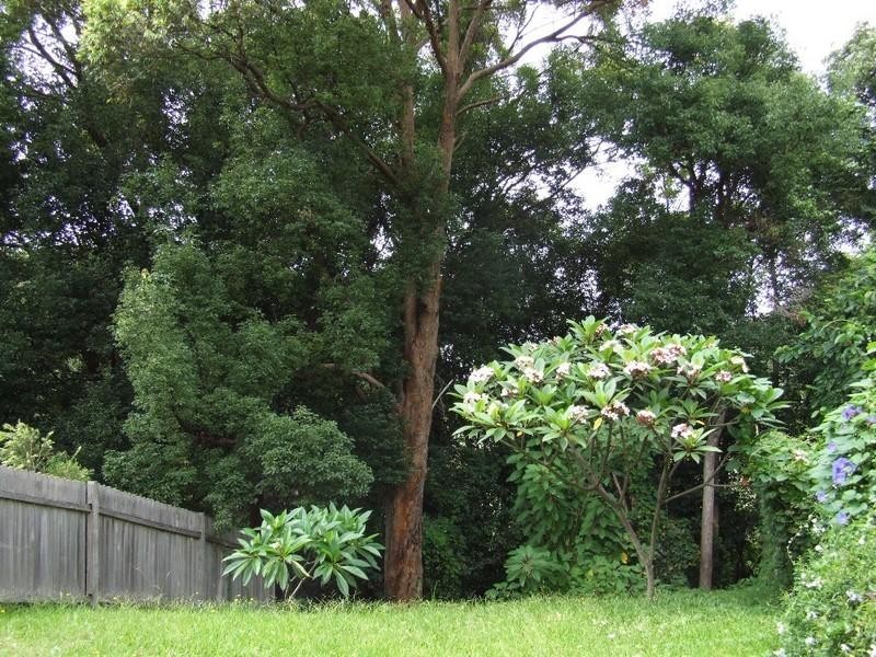 1/25 Caltowie Place, Coffs Harbour NSW 2450