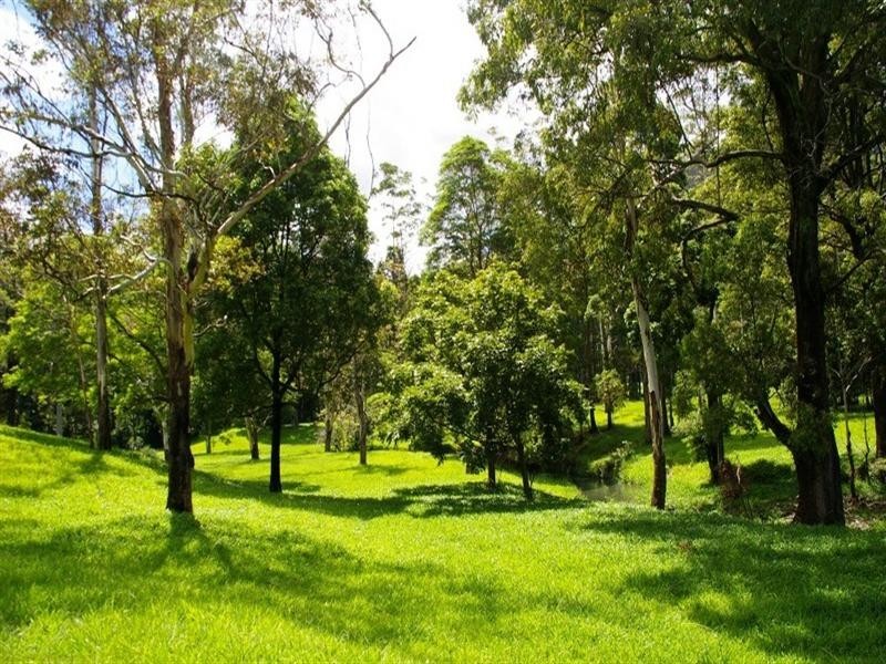 269 South Boambee Road, Boambee NSW 2450