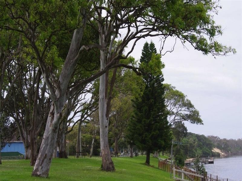 8 Grevillia Avenue, Mylestom NSW 2454