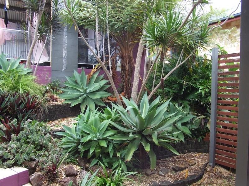 5 Barnes Street, Woolgoolga NSW 2456