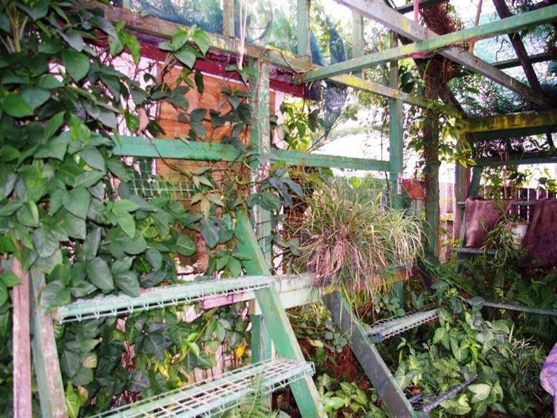 14 Lourdes Avenue, Urunga NSW 2455