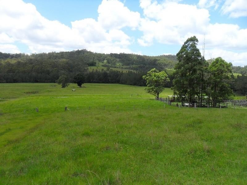 Lot 178 Smiths Creek Road, Copmanhurst NSW 2460
