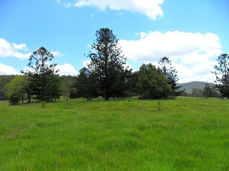 Lot 178 Smiths Creek Road, Copmanhurst NSW 2460