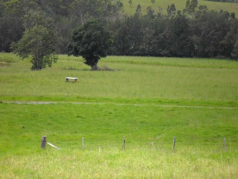 Lot 178 Smiths Creek Road, Copmanhurst NSW 2460