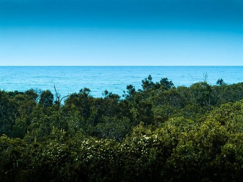 14 Headland Road, Arrawarra Headland NSW 2456