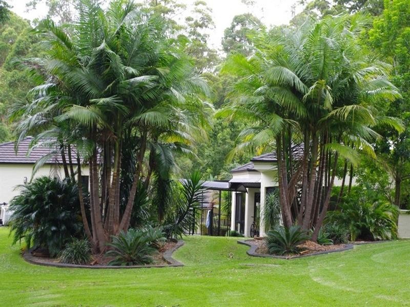 20 Colonial Court, Moonee Beach NSW 2450