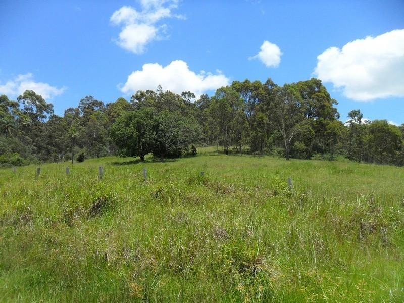 Lot/368 & 324 Smiths Creek Road, Copmanhurst NSW 2460