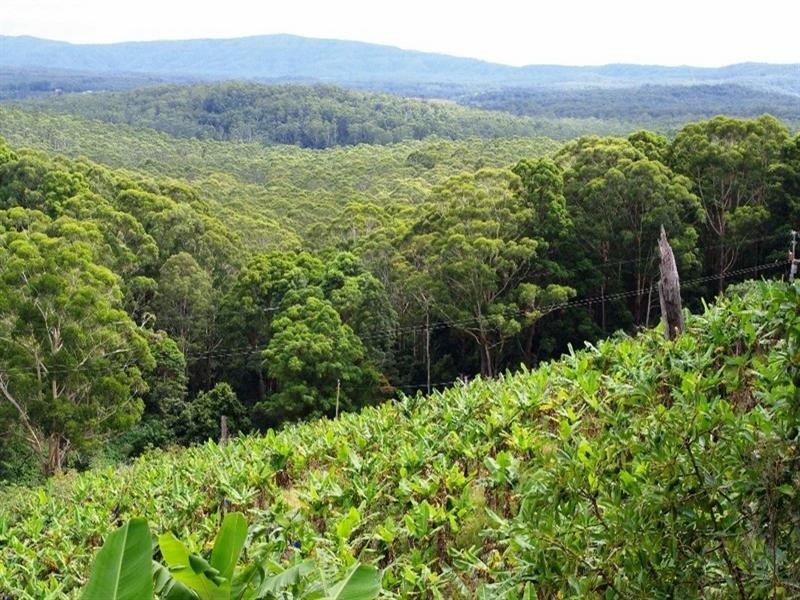 321 Gaudrons Road, Sapphire Beach NSW 2450