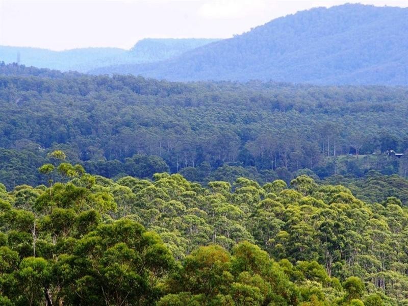 321 Gaudrons Road, Sapphire Beach NSW 2450