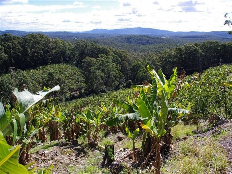 321 Gaudrons Road, Sapphire Beach NSW 2450