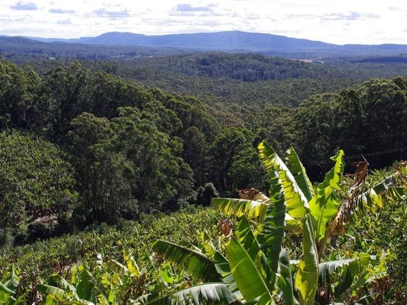 321 Gaudrons Road, Sapphire Beach NSW 2450