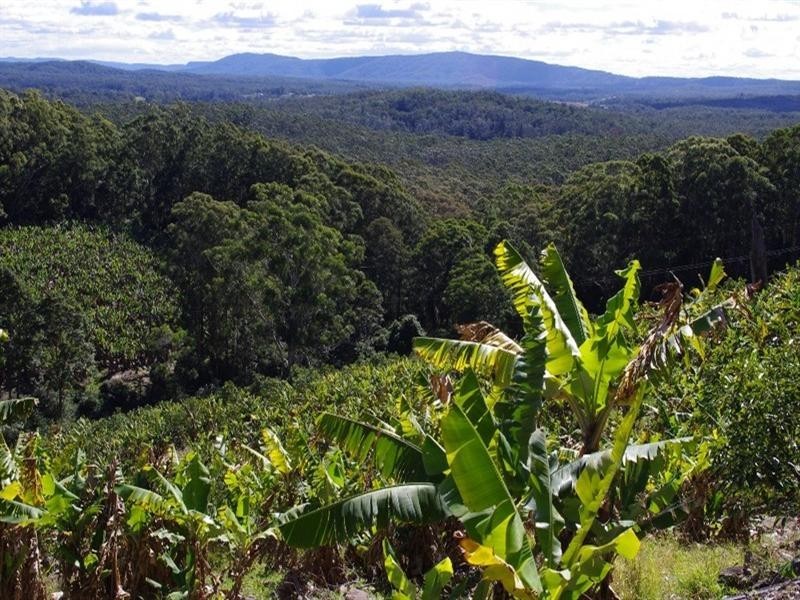 321 Gaudrons Road, Sapphire Beach NSW 2450