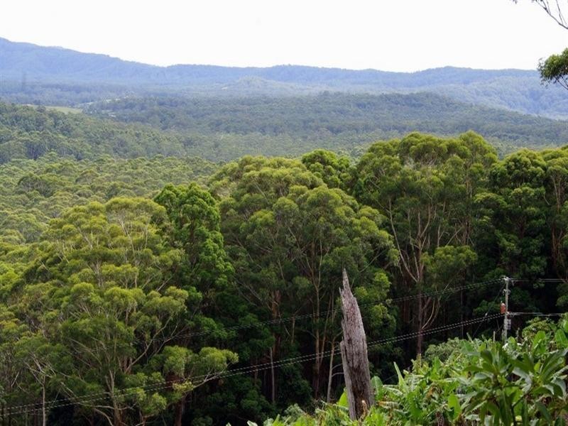 321 Gaudrons Road, Sapphire Beach NSW 2450