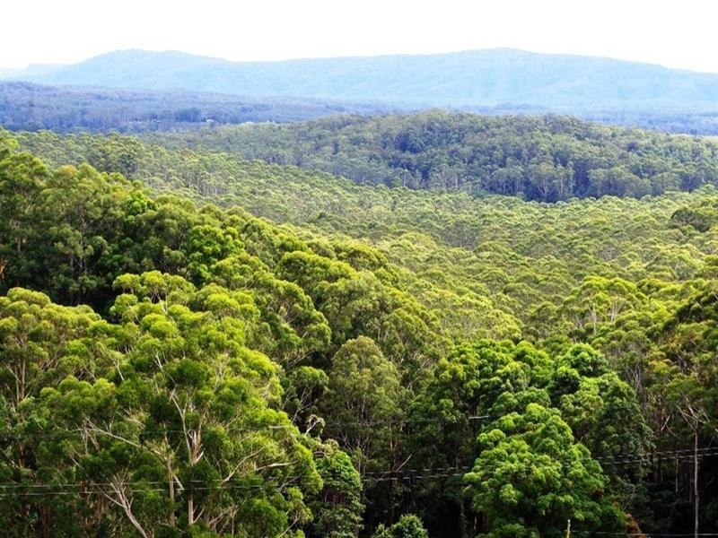 321 Gaudrons Road, Sapphire Beach NSW 2450