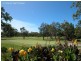 1/49 River Street, Woolgoolga NSW 2456
