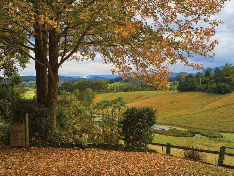 754 North Bank Road, Bellingen NSW 2454