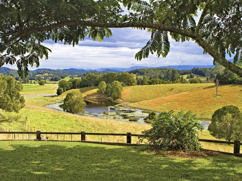 754 North Bank Road, Bellingen NSW 2454