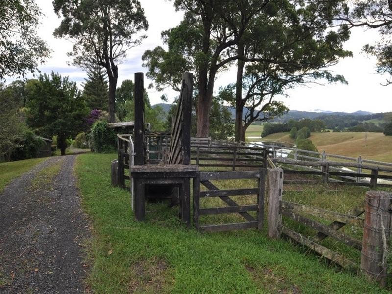 754 North Bank Road, Bellingen NSW 2454