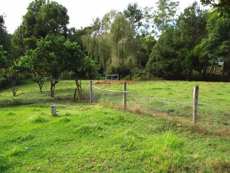 2656 Waterfall Way, Thora NSW 2454