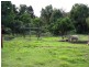 2656 Waterfall Way, Thora NSW 2454