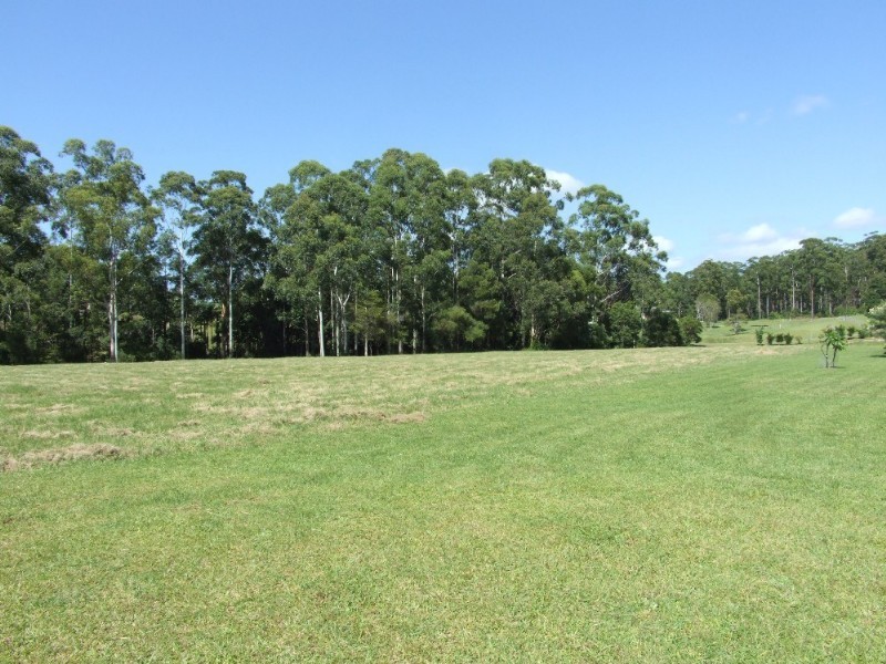 91 Palm Grove Place, Moonee Beach NSW 2450