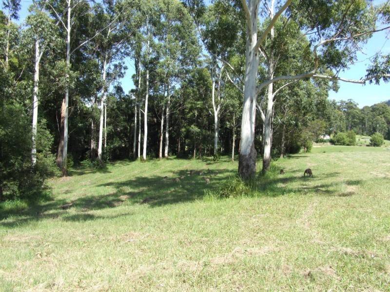 91 Palm Grove Place, Moonee Beach NSW 2450