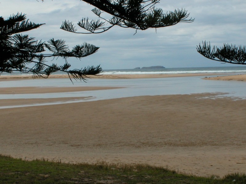 91 Palm Grove Place, Moonee Beach NSW 2450