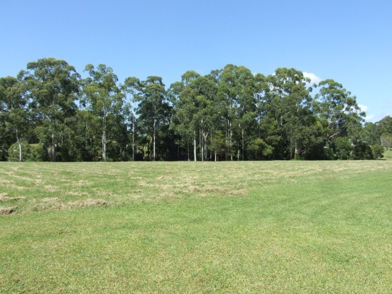 91 Palm Grove Place, Moonee Beach NSW 2450