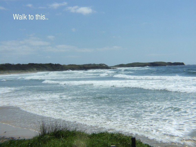 20 Ocean View Crescent, Emerald Beach NSW 2456