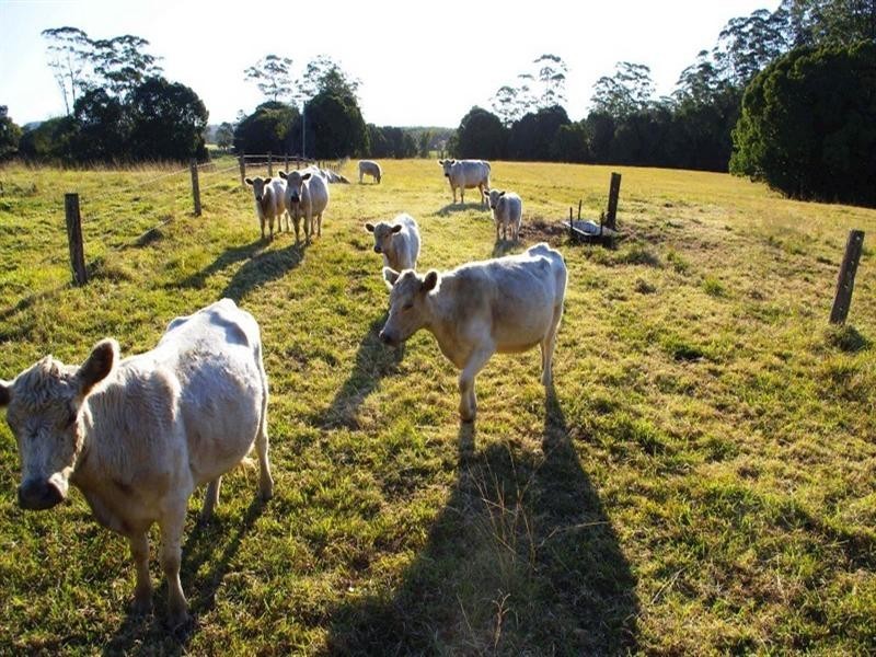 352 Mardells Road, Bucca NSW 2450
