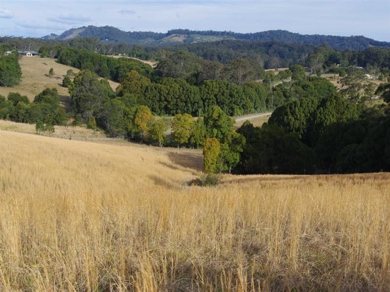 352 Mardells Road, Bucca NSW 2450