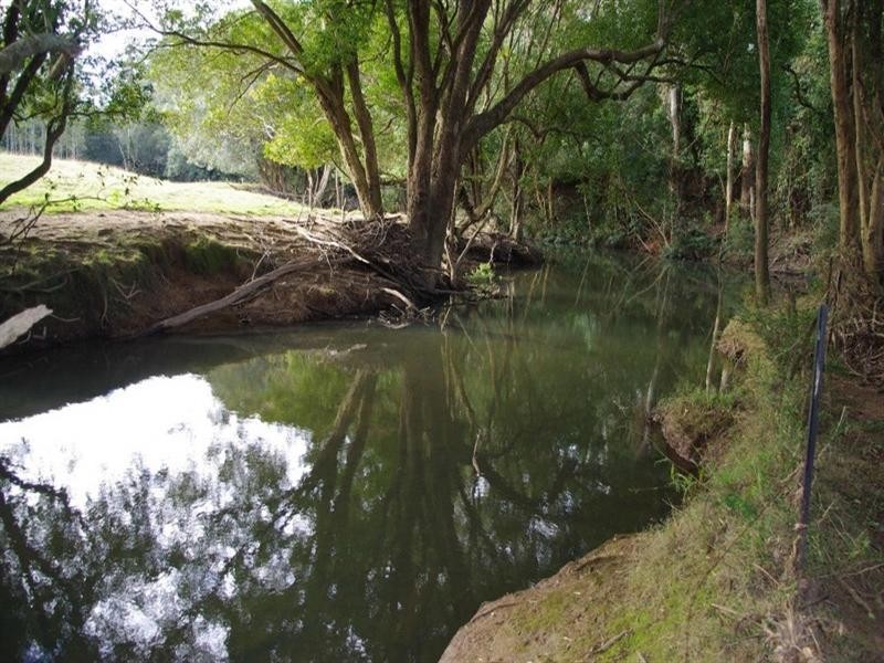 352 Mardells Road, Bucca NSW 2450