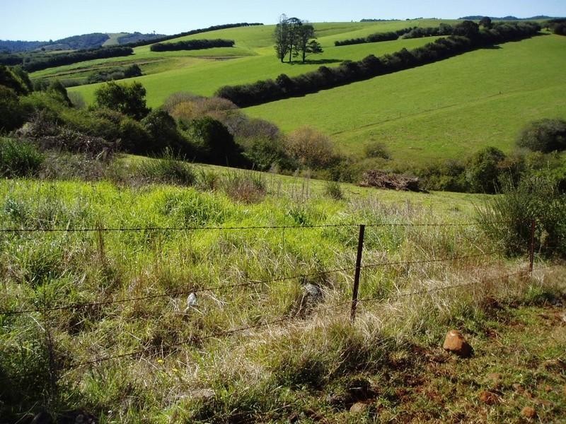 3 Bangalow Street, Dorrigo NSW 2453