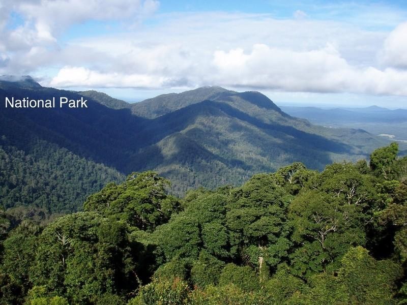 3 Bangalow Street, Dorrigo NSW 2453