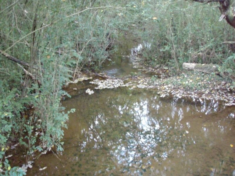 3 Bangalow Street, Dorrigo NSW 2453