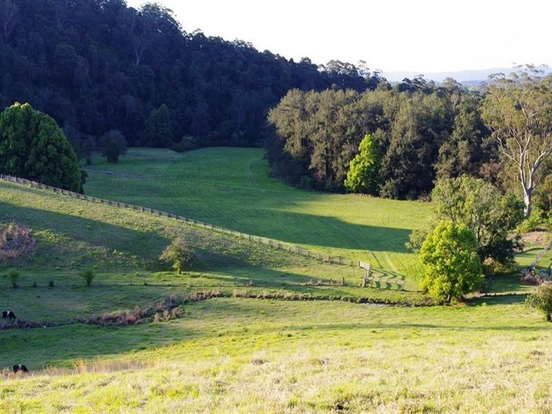 86 Hartleys Road, Karangi NSW 2450