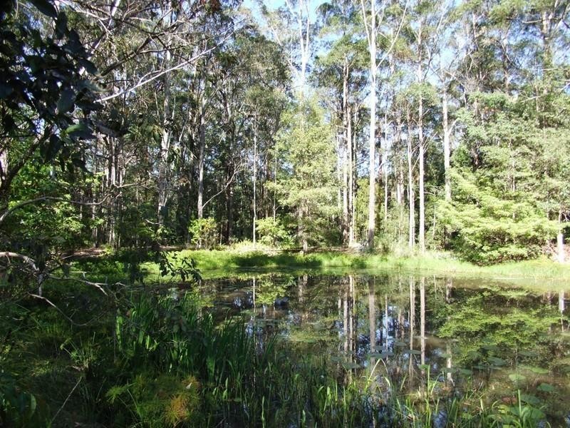 Lot 21 Hammond Road, Emerald Beach NSW 2456