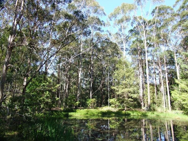 Lot 21 Hammond Road, Emerald Beach NSW 2456