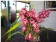 191 Archville Station Road, Bonville NSW 2441